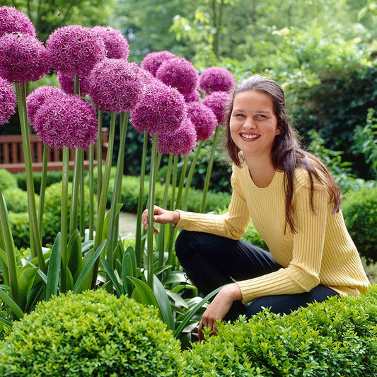  Stranger Than Fiction Flower Bulb Collection