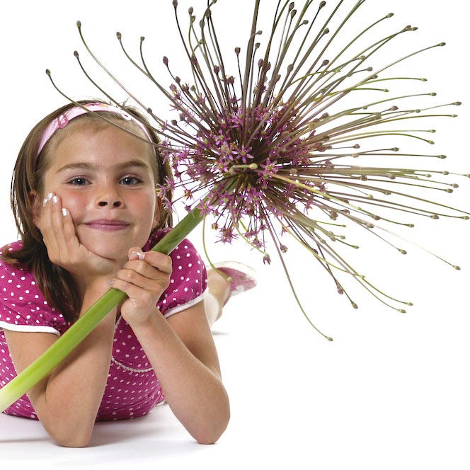  Stranger Than Fiction Flower Bulb Collection
