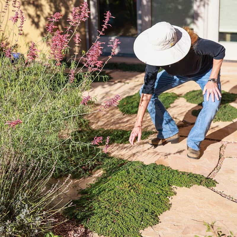  Blue Reflection® Veronica