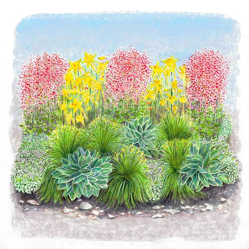  Fabulous Flowers & Foliage Shade Pre-Planned Garden