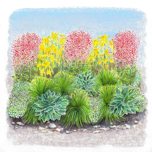  Fabulous Flowers & Foliage Shade Pre-Planned Garden