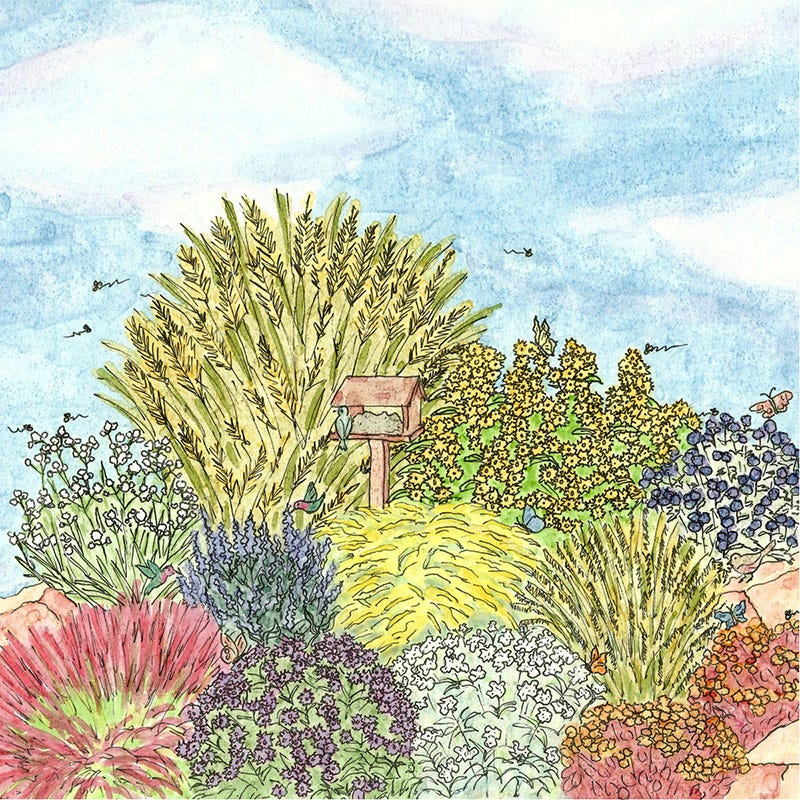  Fall Finale Pollinator Pre-Planned Garden