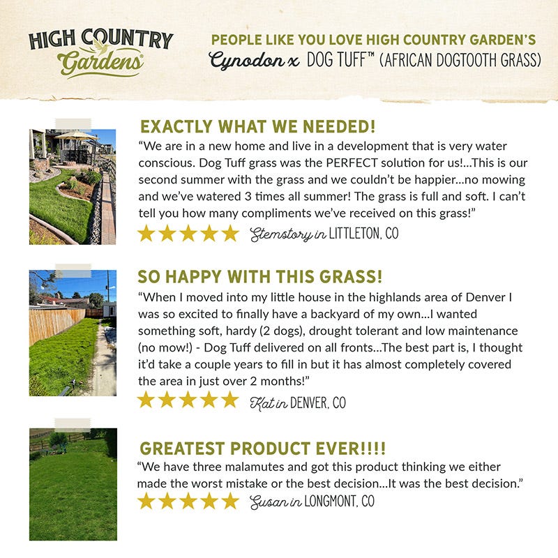  Dog Tuff™ Grass Plugs