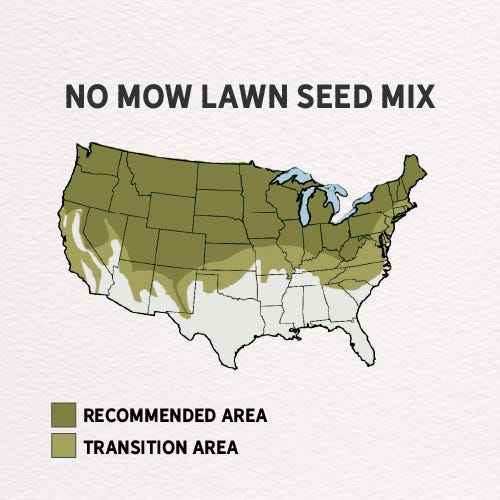  No Mow Lawn Grass Seed