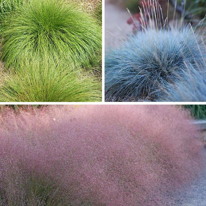  Soft Colors Inferno Strip Grass Collection