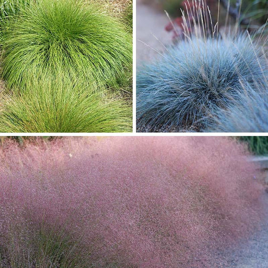  Soft Colors Inferno Strip Grass Collection